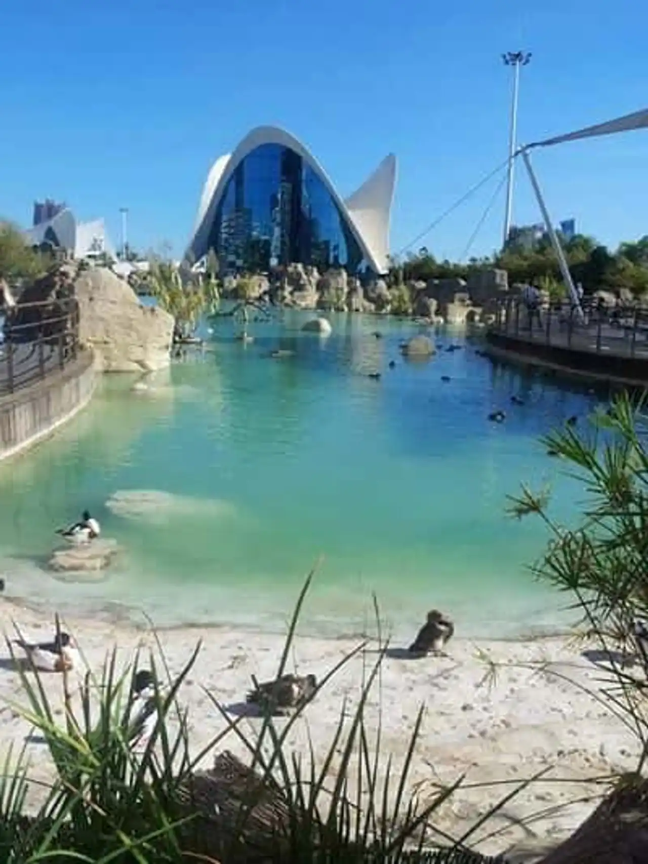 Cité des arts et des sciences, Valencia