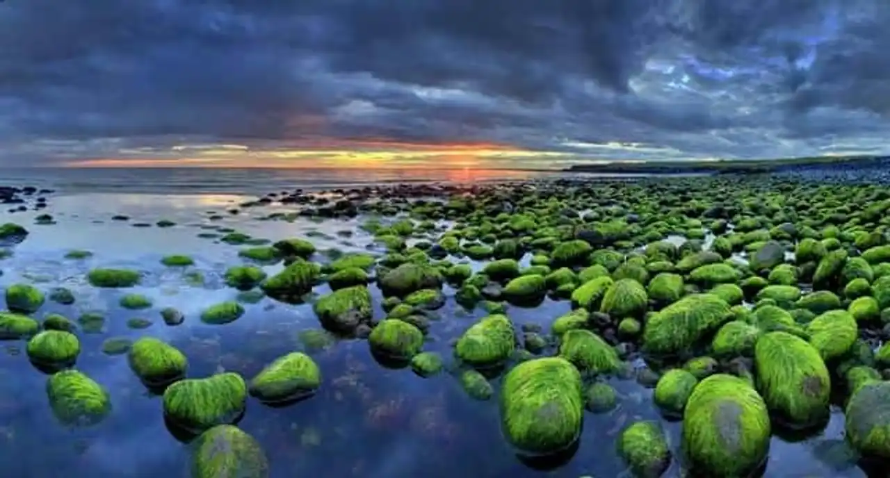 Landscape Photo Iceland