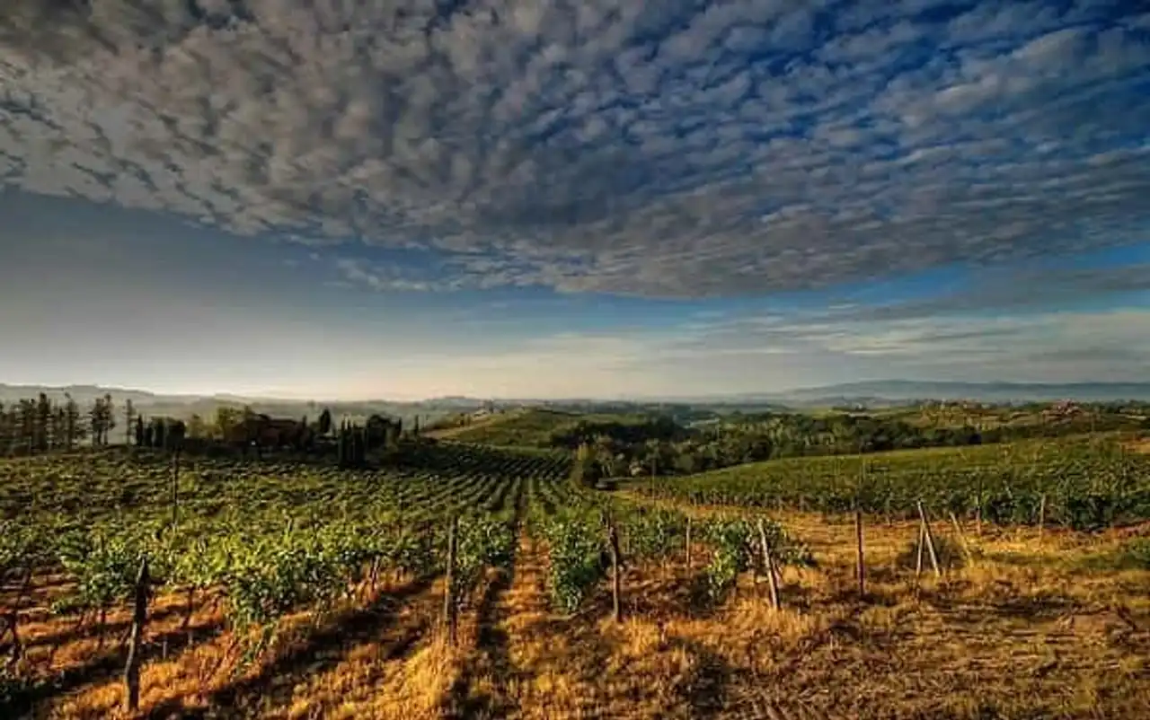 Chianti Tuscany Italy