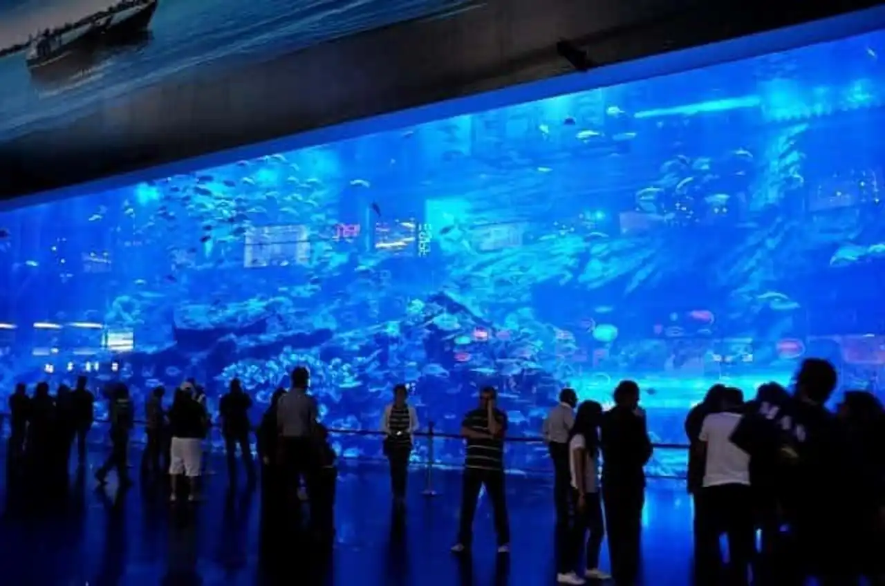 Aquarium, The Lost Chambers-dubai