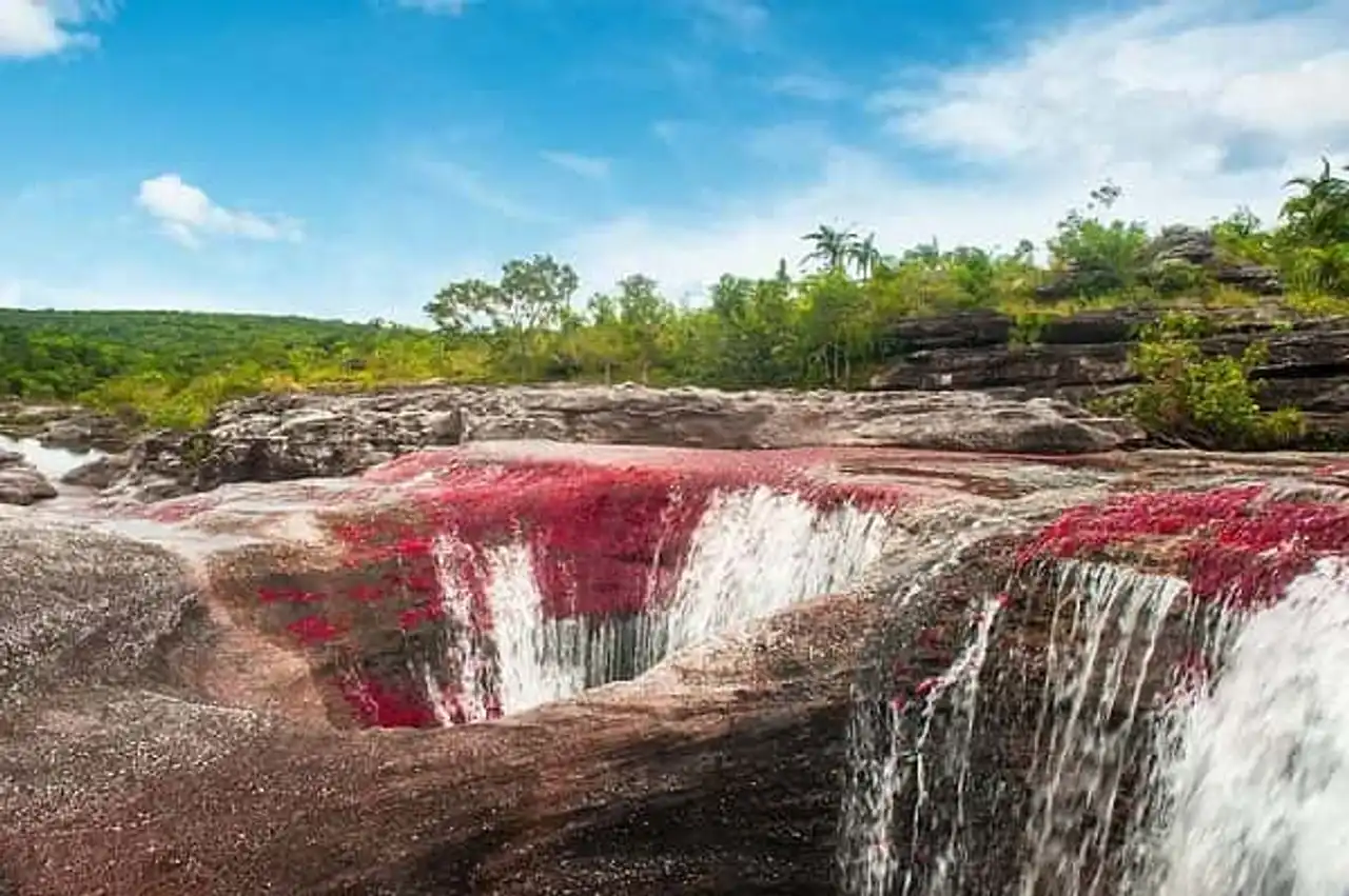 Caño Cristales Colombia