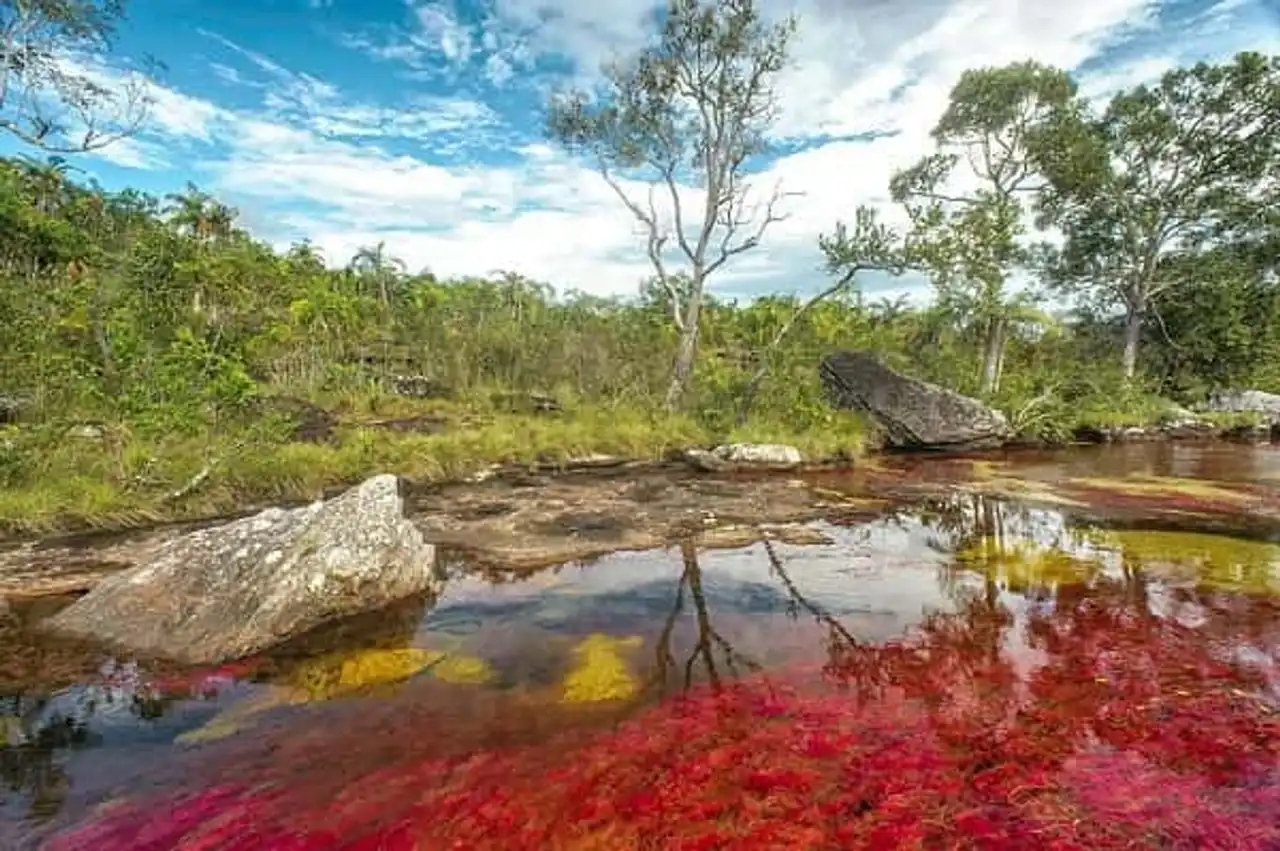 Caño Cristales Colombia