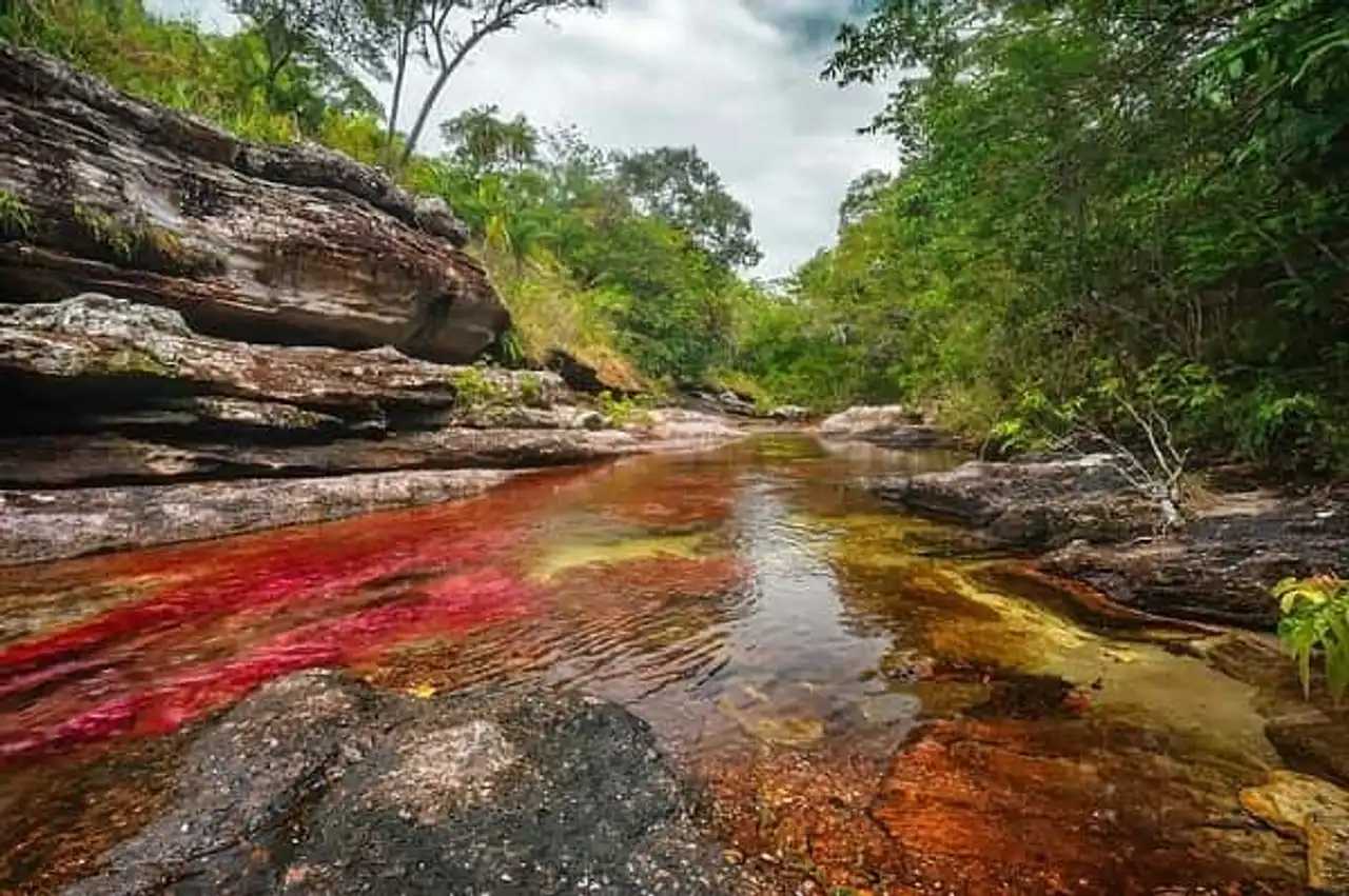 Caño Cristales Colombia