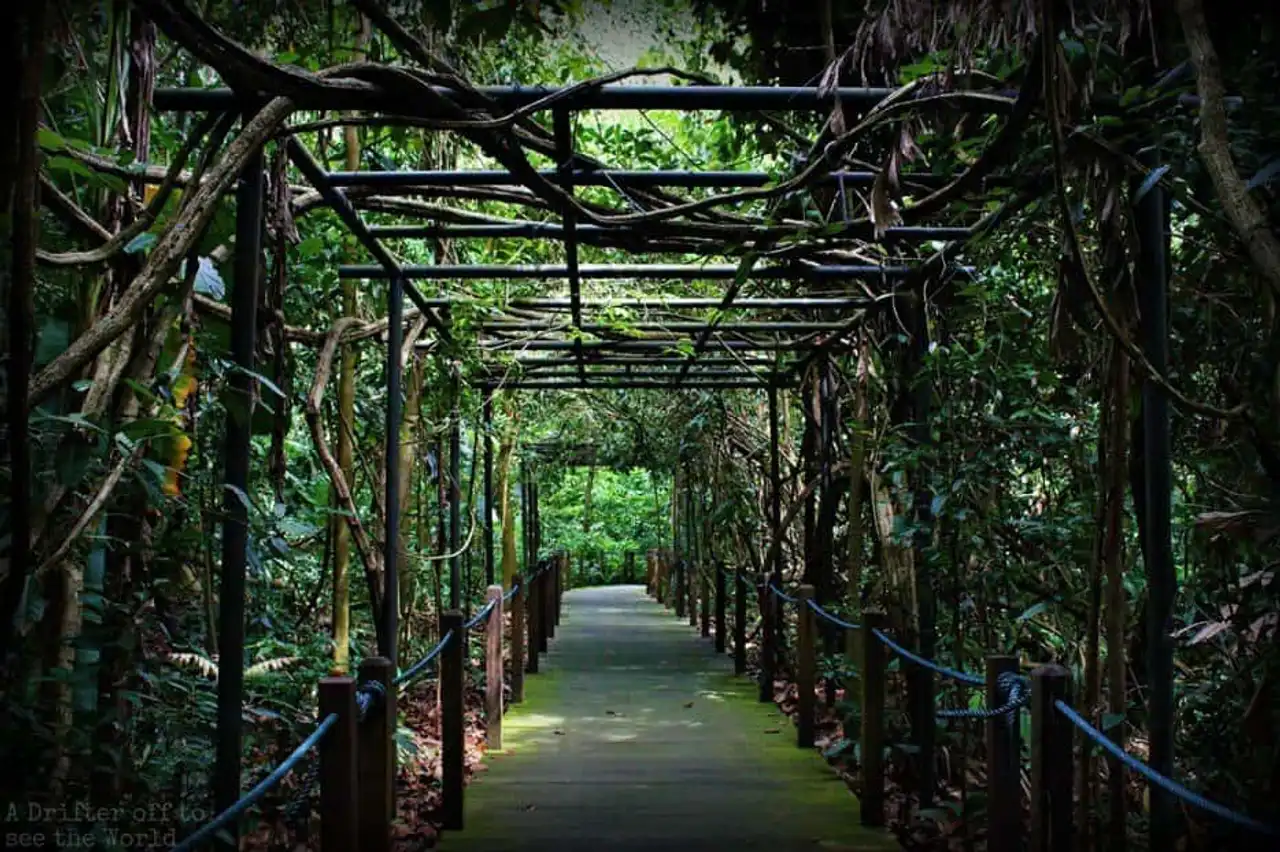 Urban parks in the world to escape the city's growing