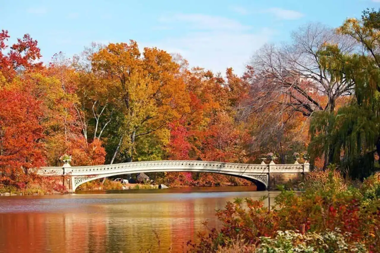 Urban parks in the world to escape the city's growing