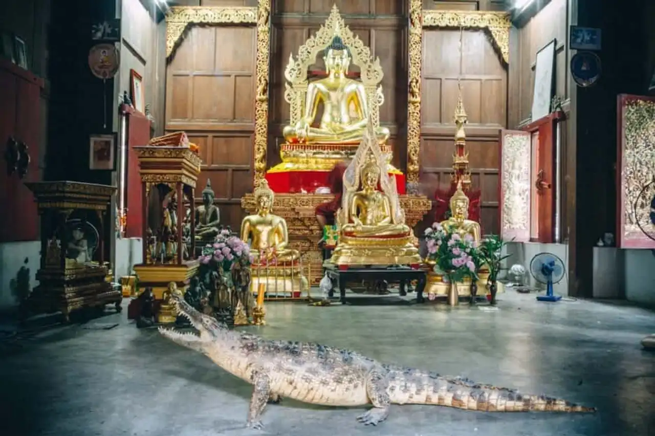 Most beautiful temples in Thailand