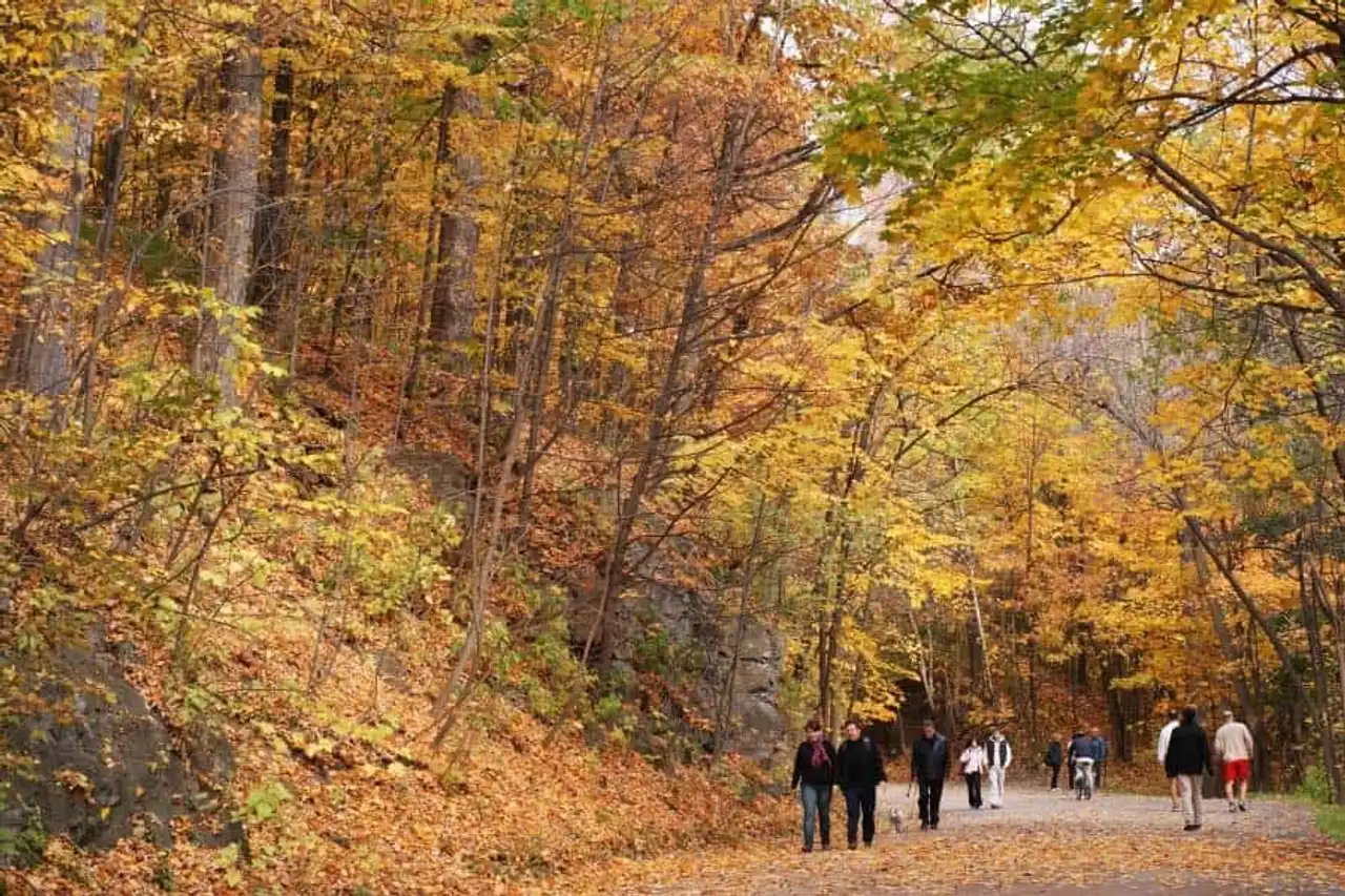 Urban parks in the world to escape the city's growing