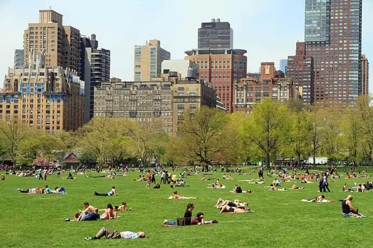 Sheep Meadow