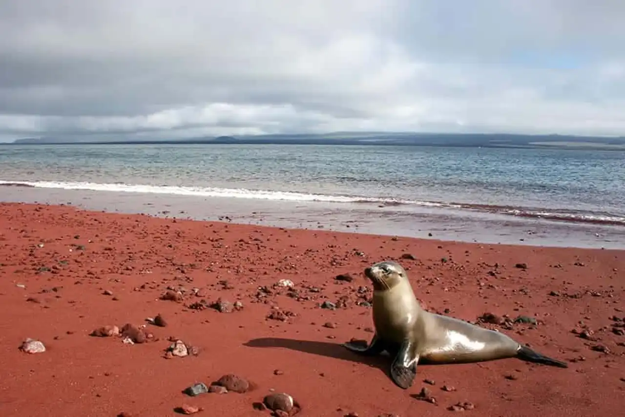 Most unusual beaches, beautiful beaches in the world