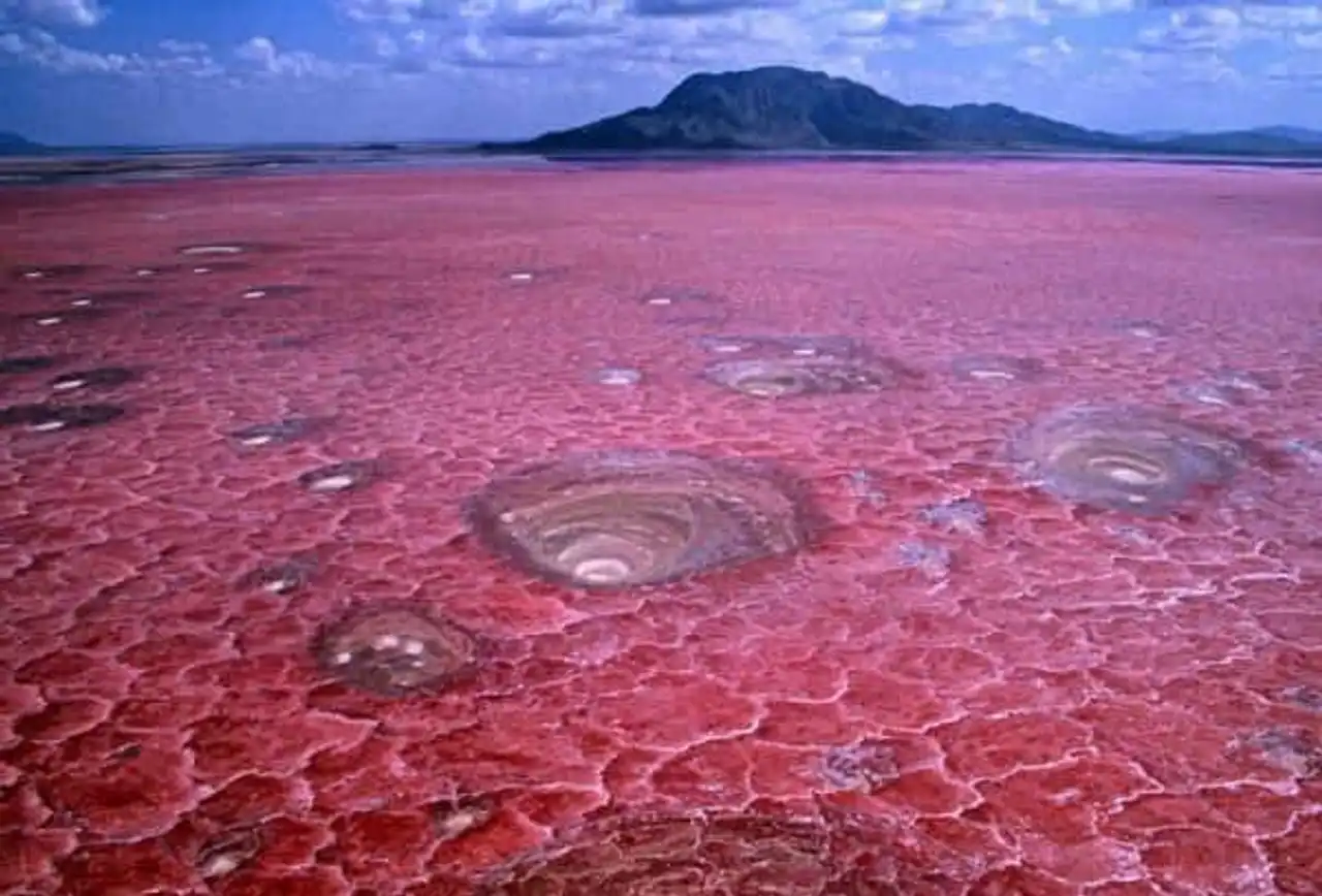 calcified lake