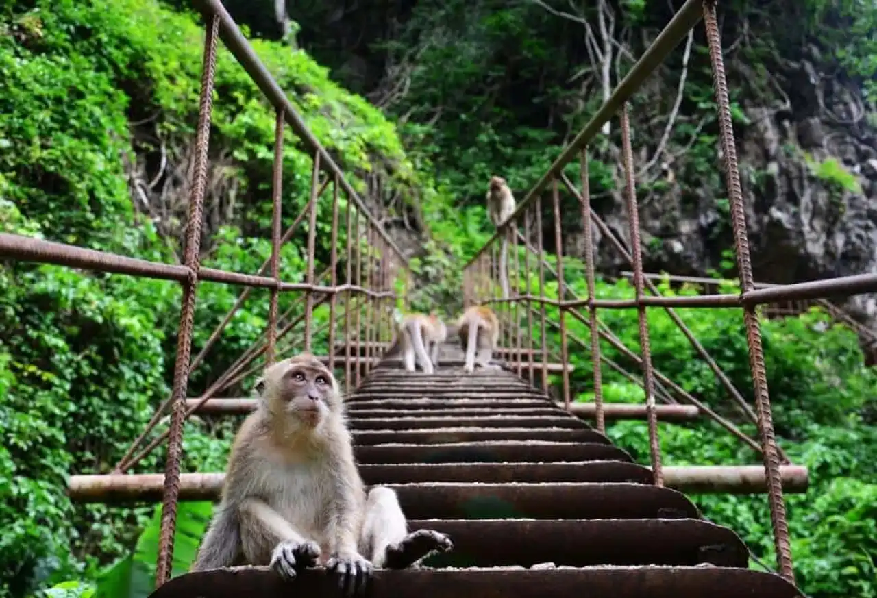 Most beautiful temples in Thailand