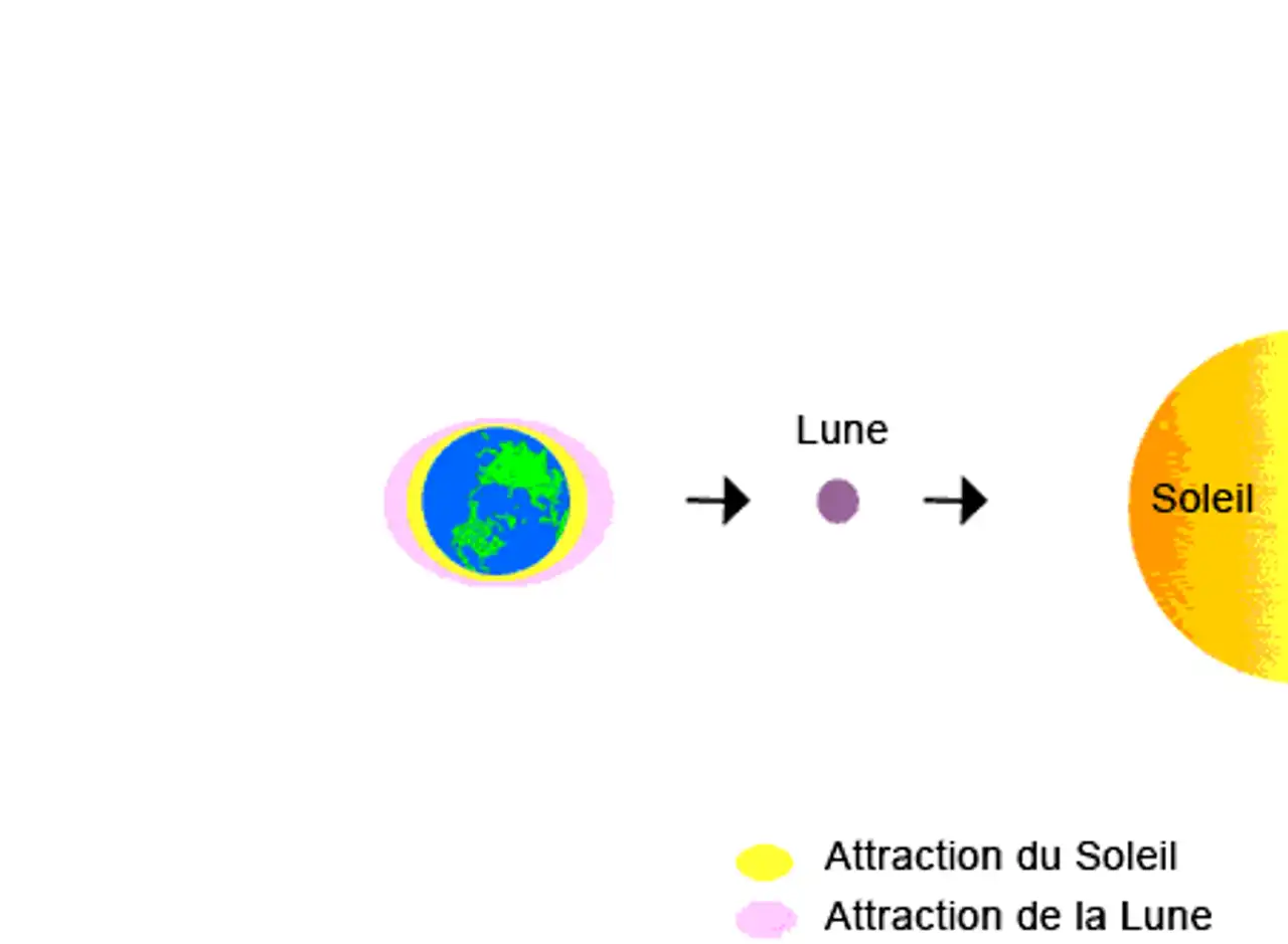 Stretching forces between the moon and the earth, it causes the tides