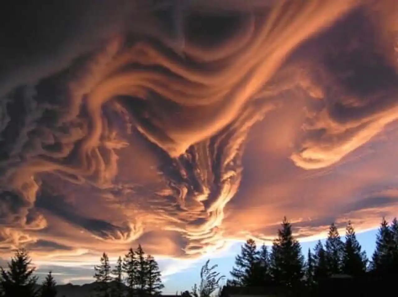 cloud asperatus