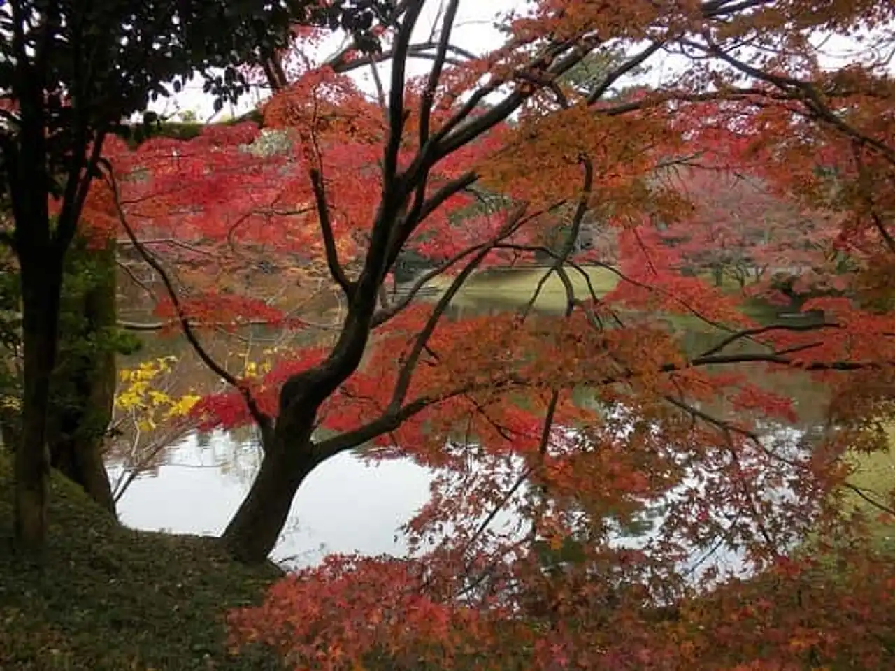 Santo Gosho Kyoto