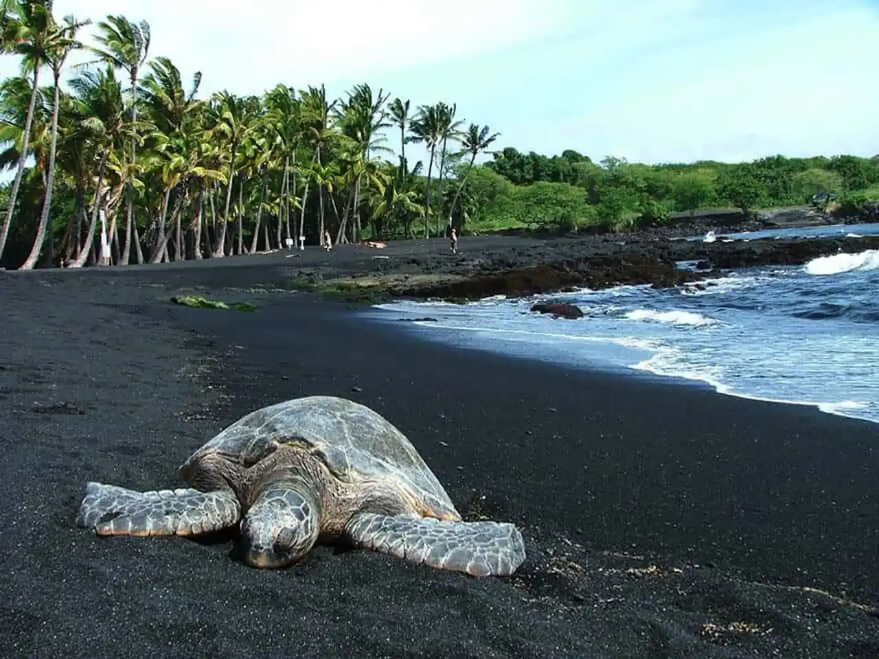 Most unusual beaches, beautiful beaches in the world