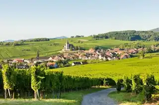 L’Alsace in Camping-Car: advice, areas and routes