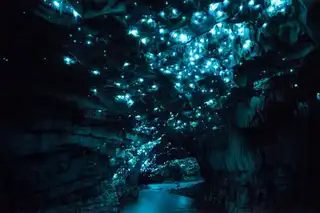 New Zealand: the caves of Waitomo illuminated by shining worms