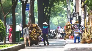 In which quarter house in Hô-Chi-Minh-Ville?