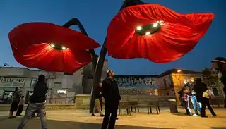 In Jerusalem, flowers hatch when they pass under