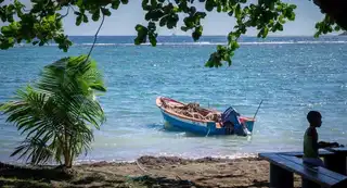 Martinique : guide for a first trip on the island with flowers