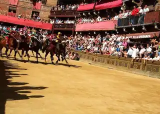 Palio de Siena 2019: how to see the famous horse race?