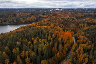 The 4 best activities to do in Finland in the fall