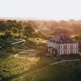 The 11 best vineyards to visit around Bordeaux