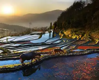 The landscapes of Asia highlighted by a photographer