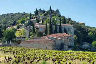 The 5 things to do in La Roque-sur-Cèze