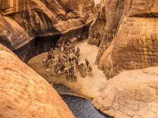 La Guelta d'Archei, a surprising oasis in Chad