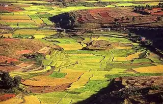 The high plateaus of Madagascar