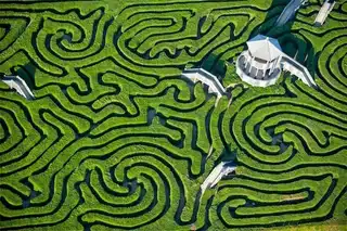 The vegetal labyrinth of Longleat