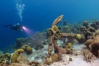 The 14 most beautiful diving spots in Cuba