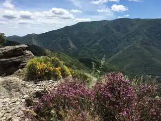 The 3 most beautiful hikes to do at Mont Aigoual