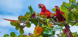 The 20 most beautiful places to visit in Costa Rica