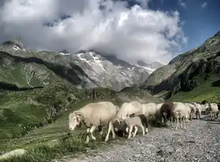 The 9 most beautiful places to visit in the Pyrenees National Park