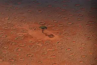 The mysterious circles of fairies in Namibia