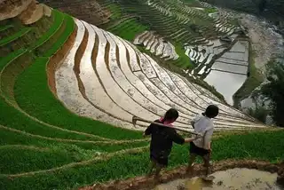 North Vietnam: Sapa and its rice fields