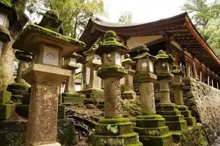 The 10 things to do in Nara