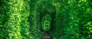 Ukraine: Klevan love tunnel