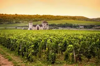 8 unusual weekends in Burgundy