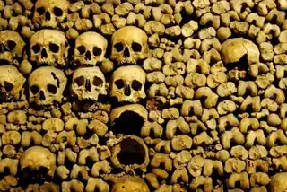 Visit the Paris catacombs with a cut-file ticket