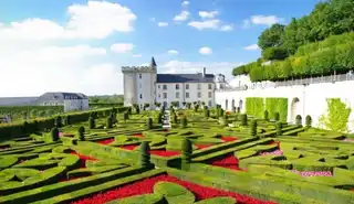 Visit the Château de Villandry : tickets, prices, times