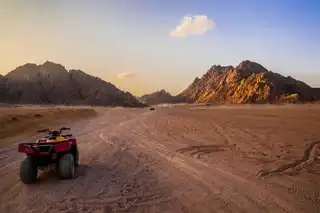 Walks in quad in Marrakech