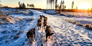 What is the best time to visit Lapland?