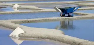 Visit the Marais Salants de Guérande from La Baule