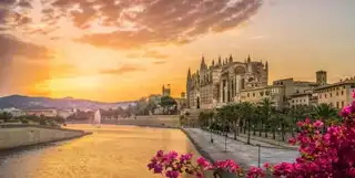 Visit the Cathedral of Palma: tickets, prices, schedules