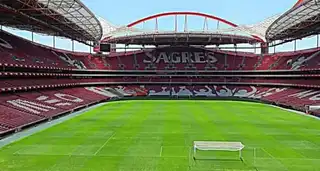 Visit the Luz Stadium and the Benfica Museum in Lisbon