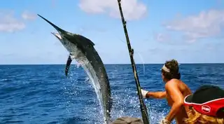 Go fishing on the high seas off Dubai