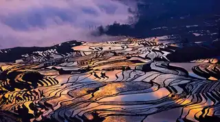 28 photos of rice fields resembling broken mirrors